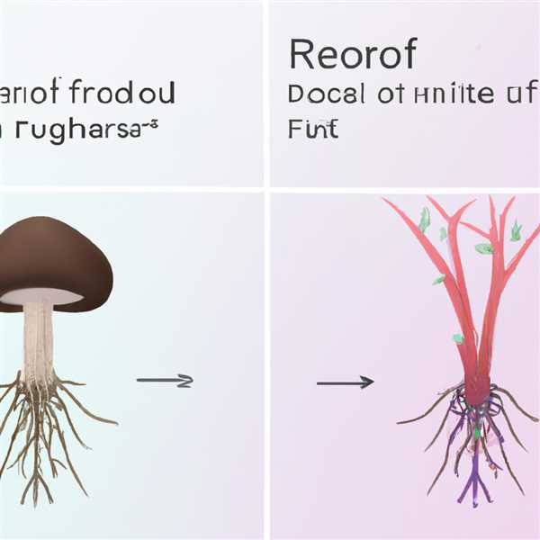 Гифы гриба в отличие от корневых волосков