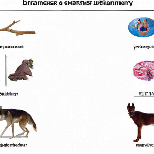 Отличие человека от животных таблица биология 8