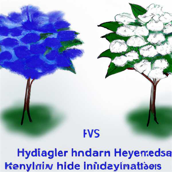 Отличие гортензии метельчатой от древовидной и крупнолистной