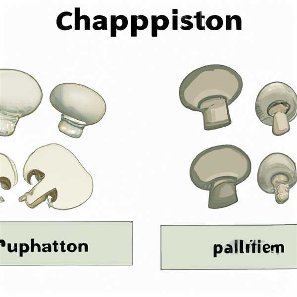 Отличие шампиньона от бледной поганки и сходство