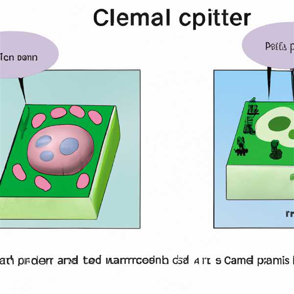 Отличие животной клетки от растительной 8 класс