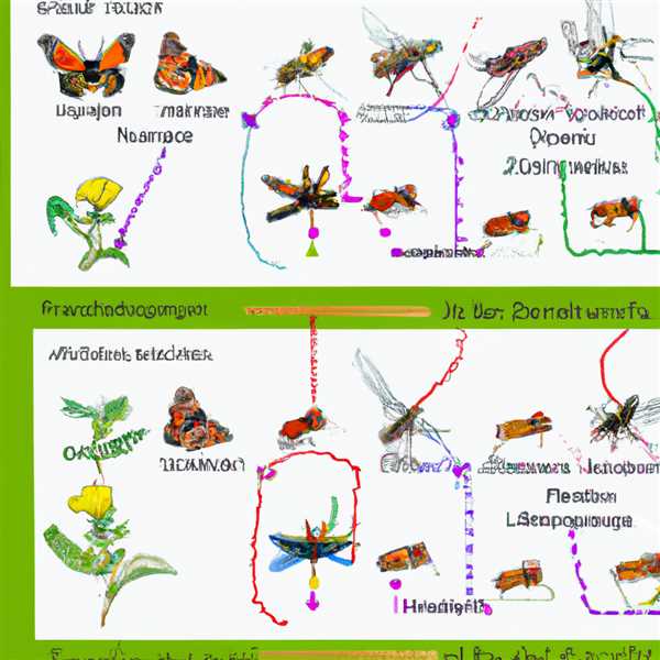 Отличия растений от животных 6 класс биология