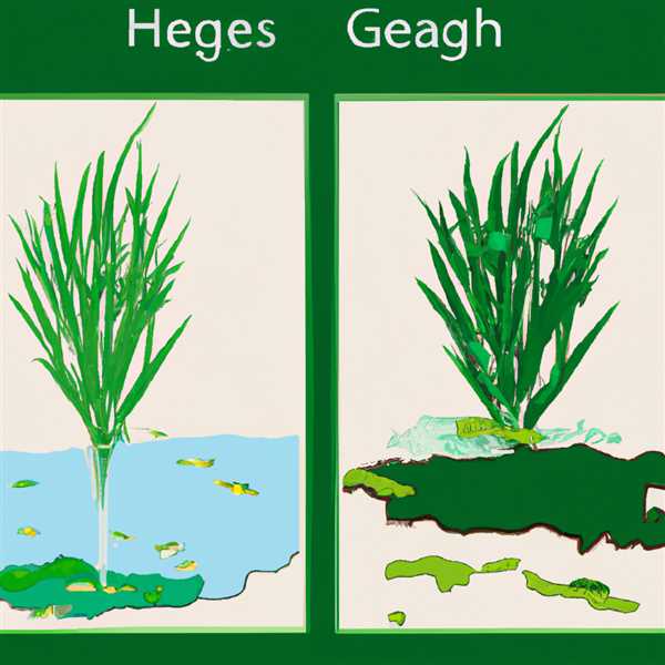 Зеленые водоросли в отличие от высших растений